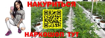 шишки Татарск