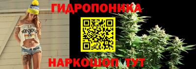 шишки Татарск